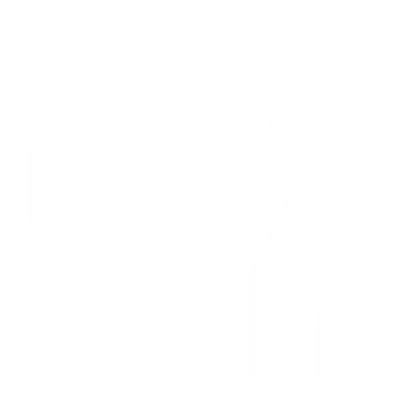 Our Vision